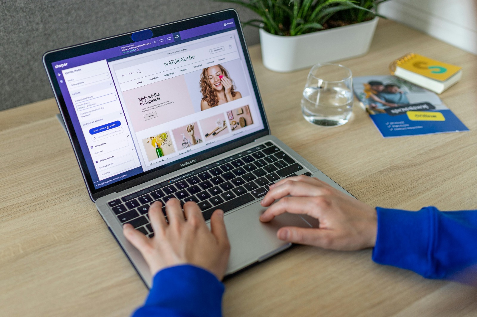 WordPress & Shopify Development Services